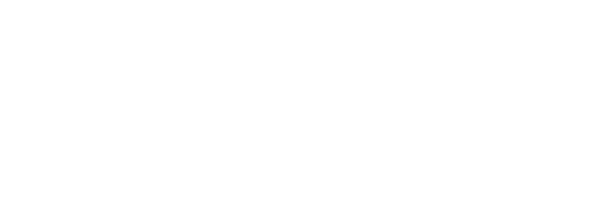 Pulse AI